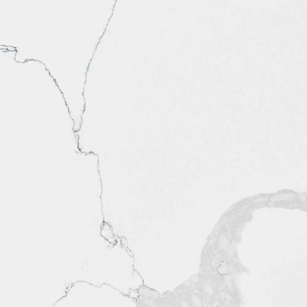 Calacatta Leon — MSI Q countertop slab