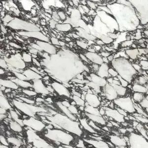 Calacatta Viola Calacatta Viola