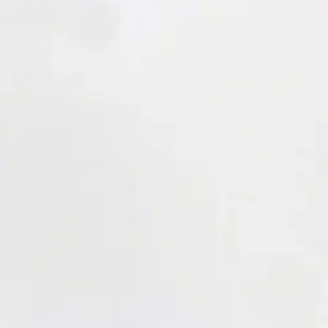 Elegant White Elegant White