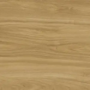 Ewood Camel Ewood Camel