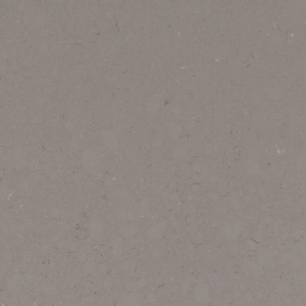 Fossil Gray Polished — MSI Q countertop slab