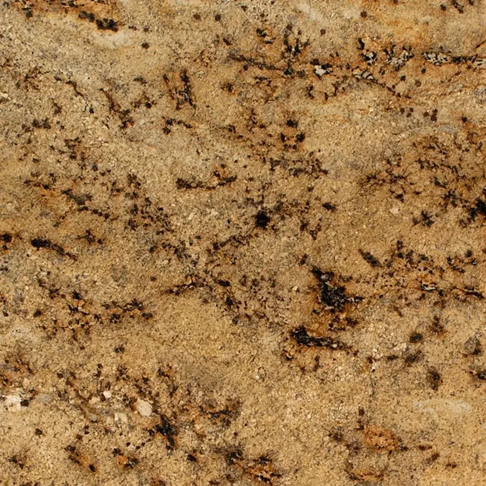 Lapidus — Granite countertop slab