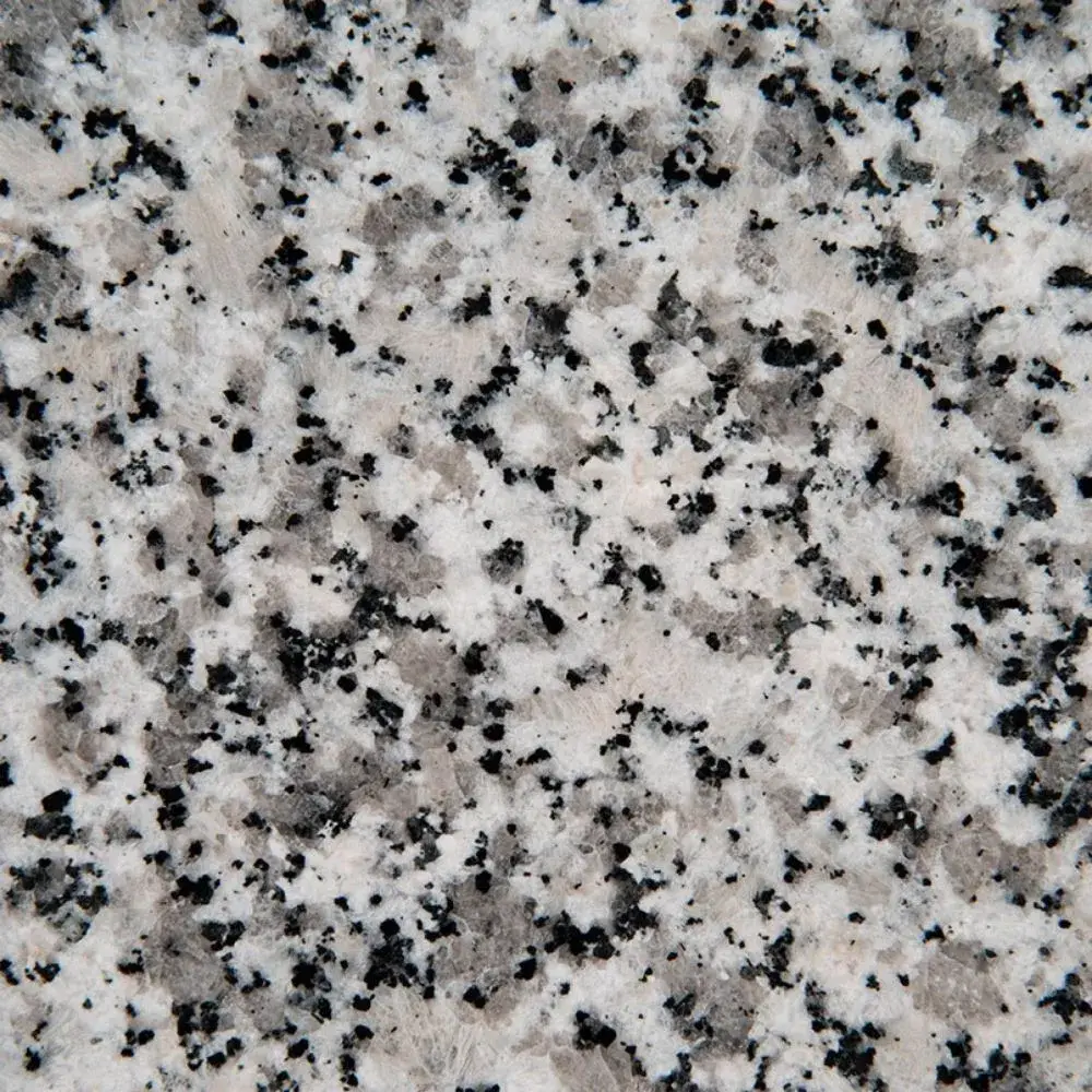Luna Pearl — Granite countertop slab