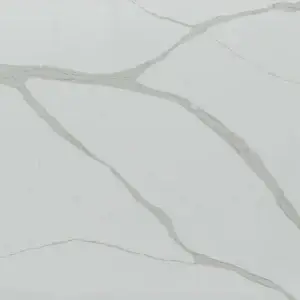 Michelangelo Michelangelo