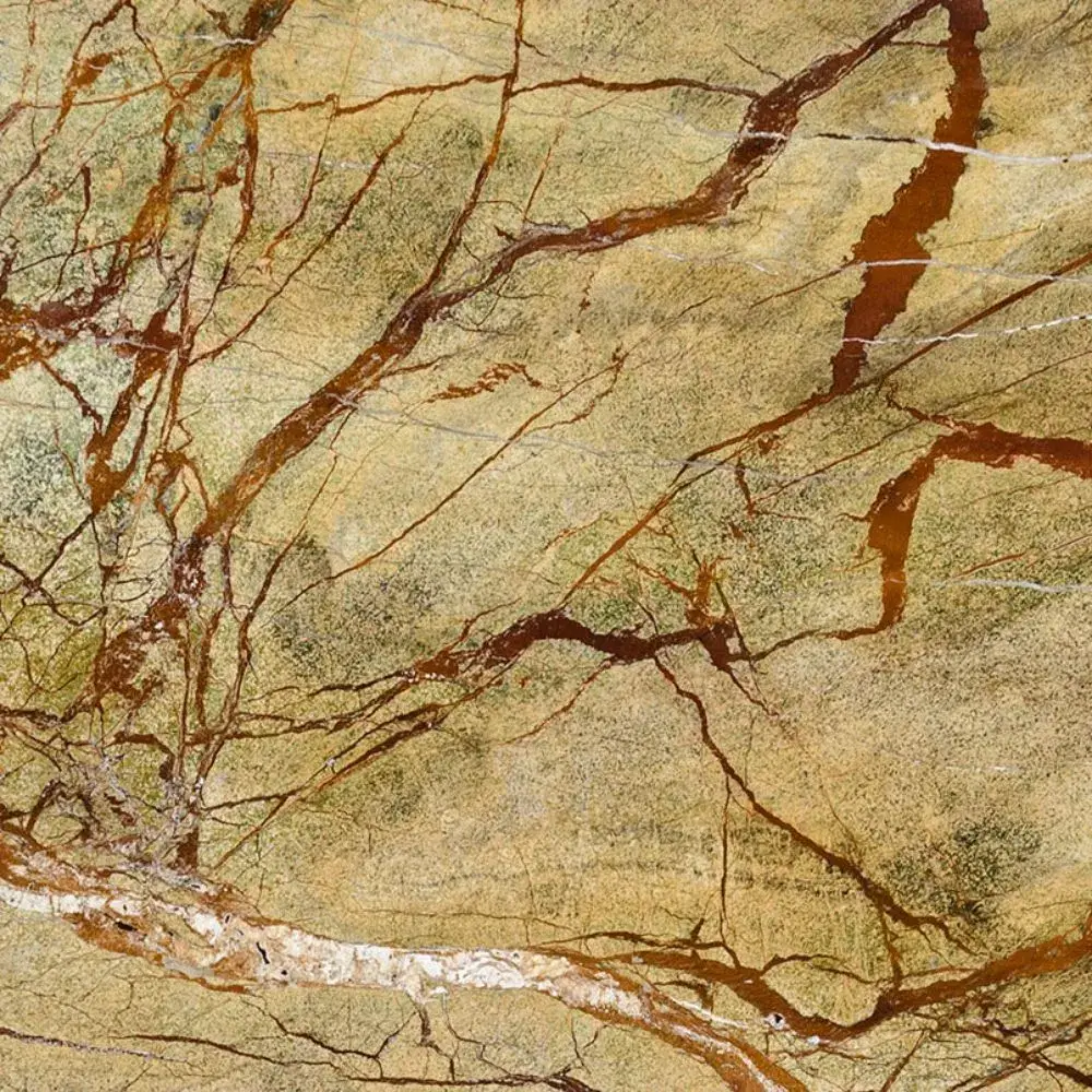 Rain Forest — Marble countertop slab
