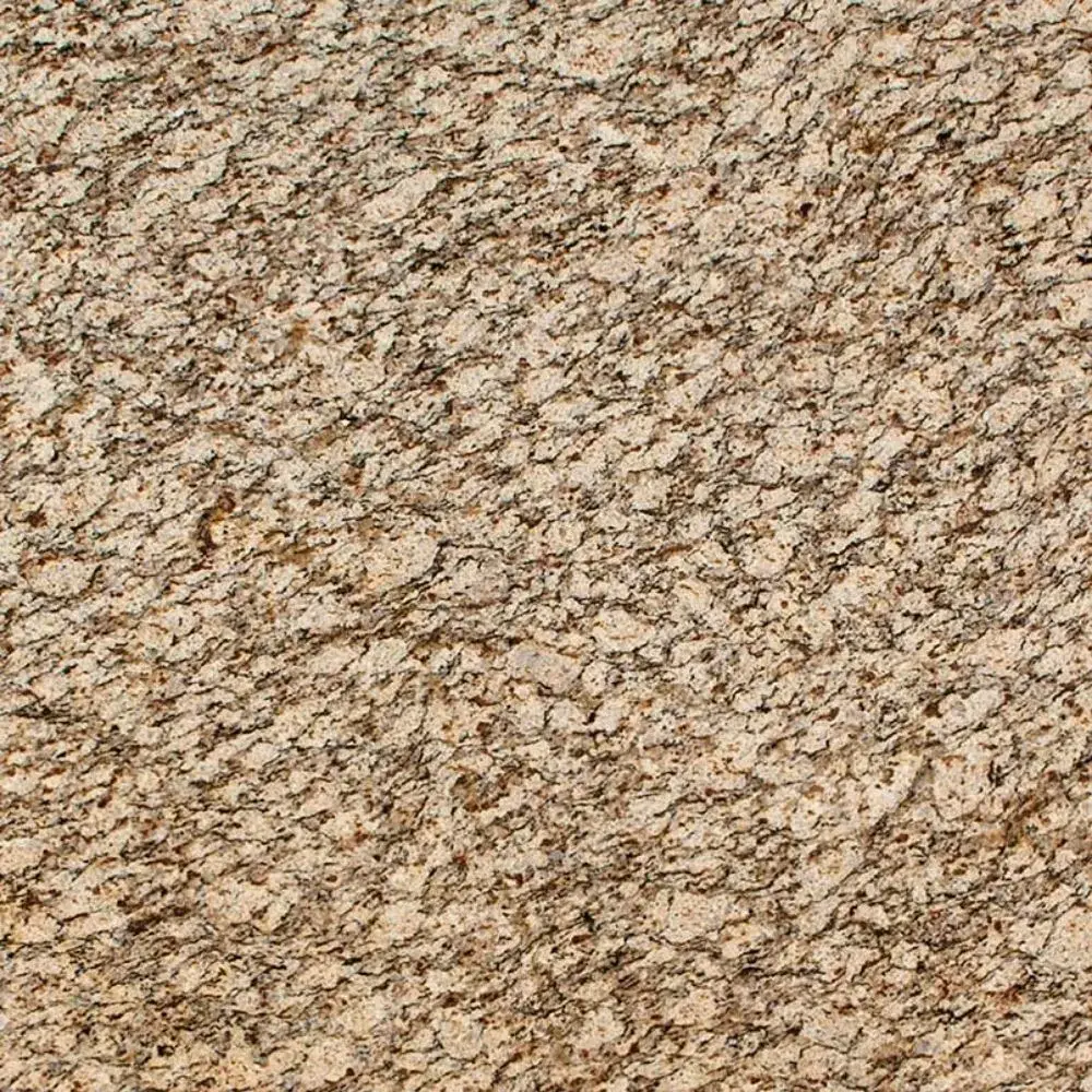 Santa Cecelia — Granite countertop slab