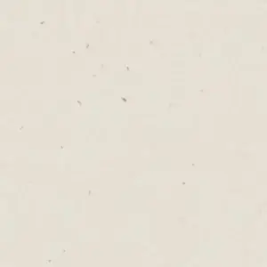 Lincoln White Lincoln White